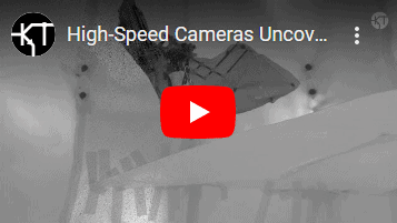 Bat Flight Thumbnail - Chronos Cameras