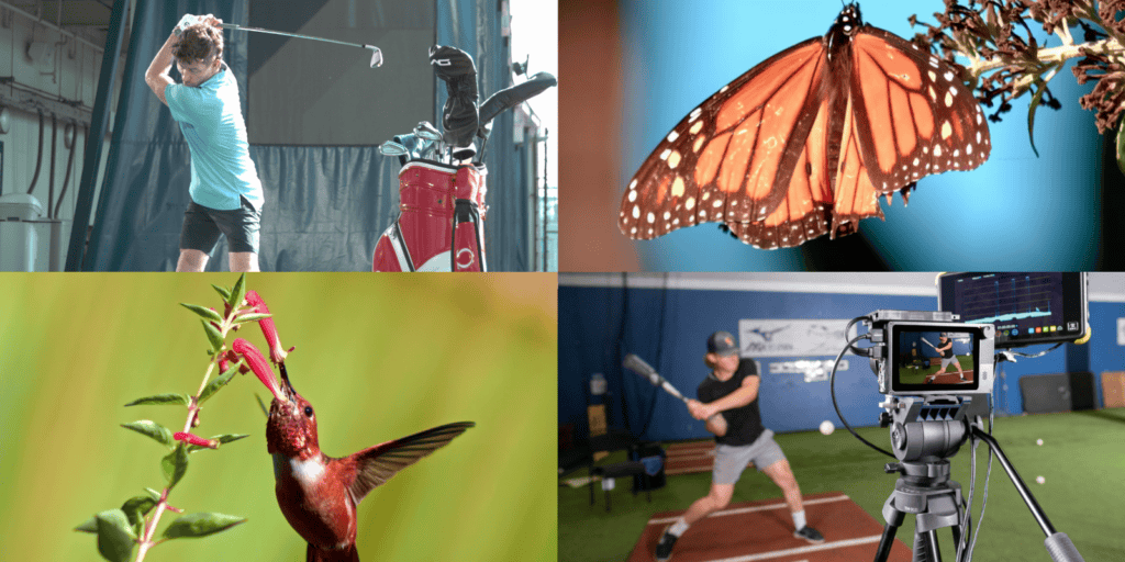Animal Locomtive Studies and Swing Analysis - Biomechanics Applications - Chronos High-Speed Cameras